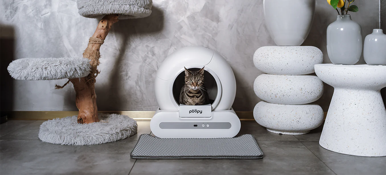 Nooit meer kattengrind scheppen